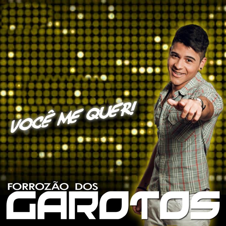 Forrozão dos Garotos's avatar image