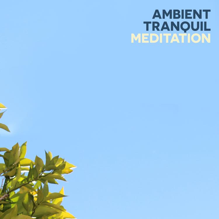 Ambient Meditation Music's avatar image