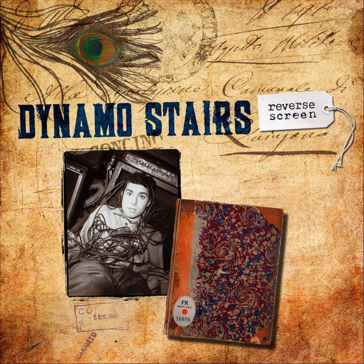 Dynamo Stairs's avatar image