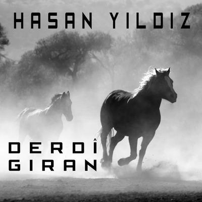 Va Çi Hale's cover