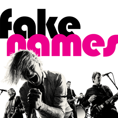 Brick By Fake Names's cover