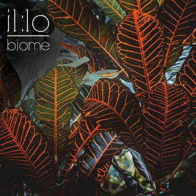 Biome By Illo's cover