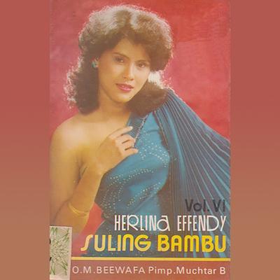Herlina Effendy's cover