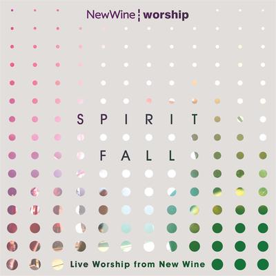 Spirit Fall [Live]'s cover