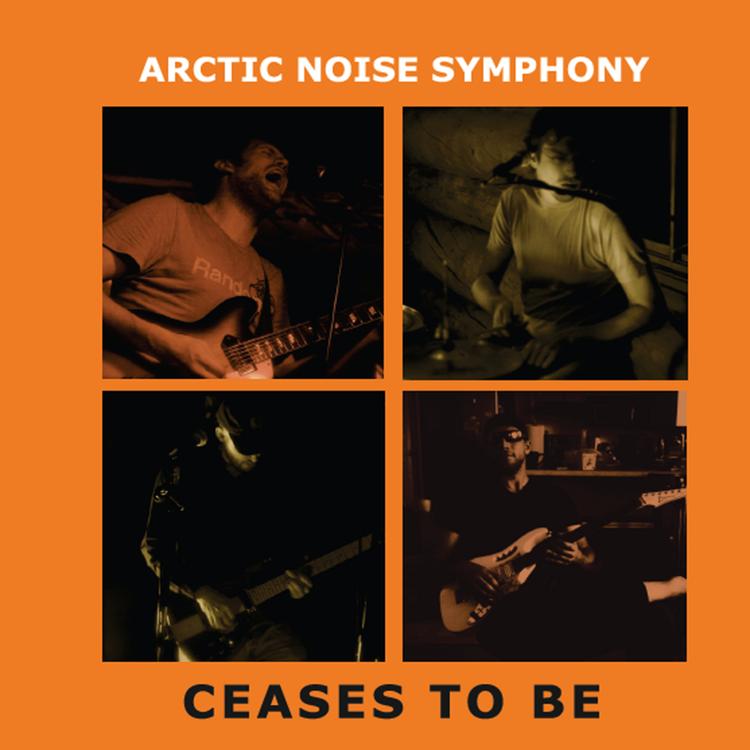 Arctic Noise Symphony's avatar image