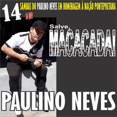 Salve, Macacada (14 Sambas do Paulino Neves em Homenagem à Nação Pontepretana)'s cover