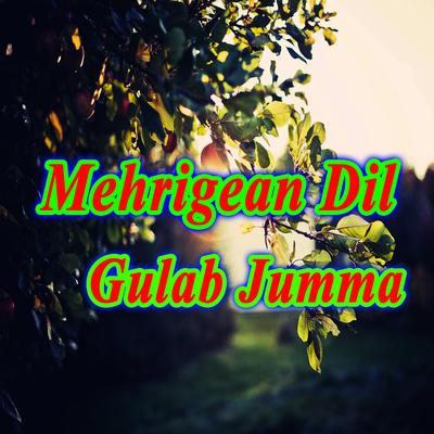 Mehrigean Dil's cover