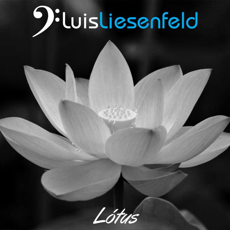 Luis Liesenfeld's avatar image