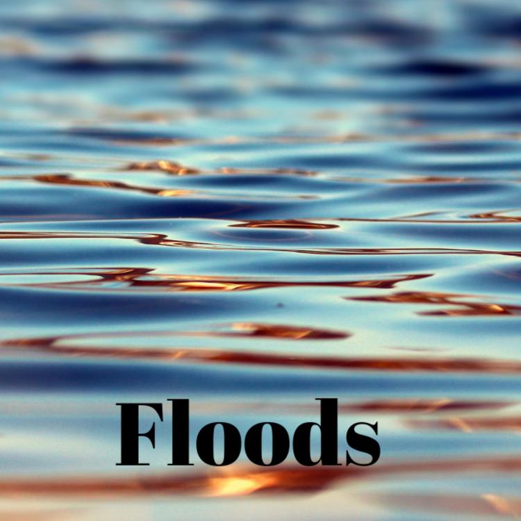 Floods's avatar image