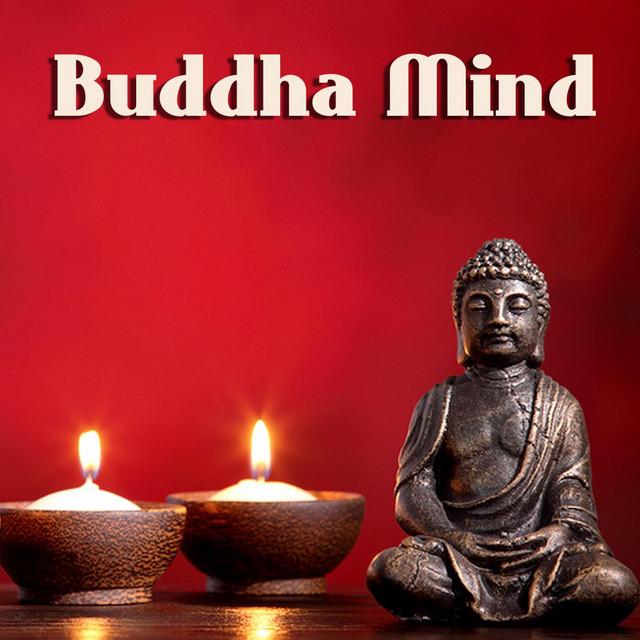 Buddha Meditation Collective's avatar image