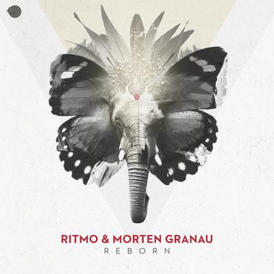 Reborn By Ritmo, Morten Granau's cover