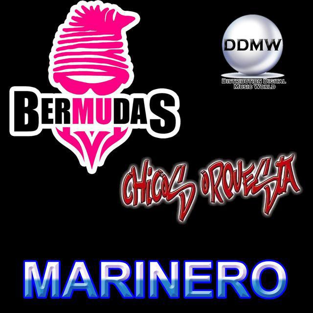 Grupo Bermudas's avatar image