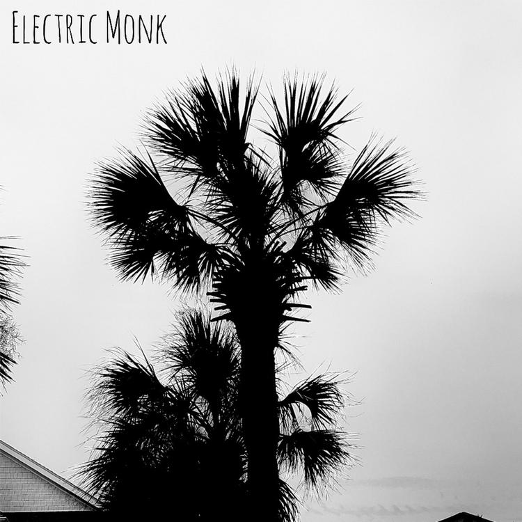 Electric Monk's avatar image