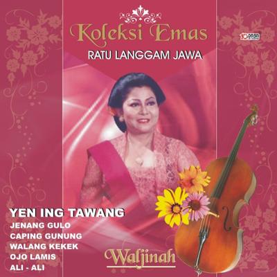 Koleksi Emas Ratu Langgam Jawa's cover
