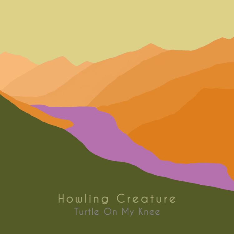 Turtle on My Knee's avatar image