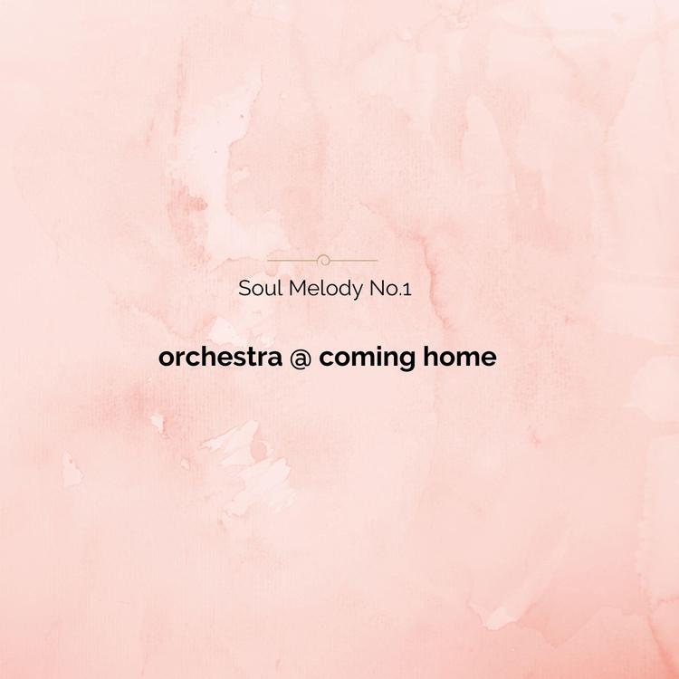 orchestra @ coming home's avatar image