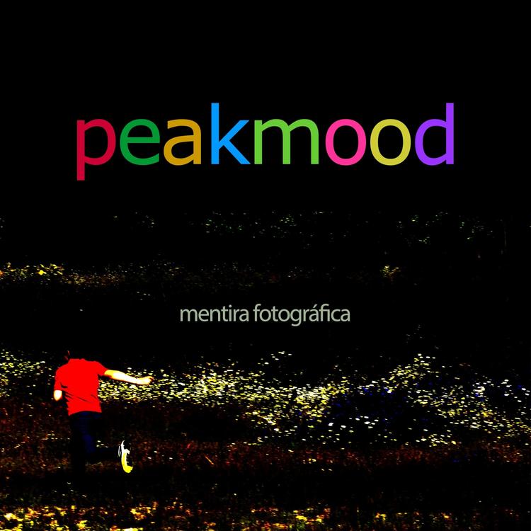 Peakmood's avatar image