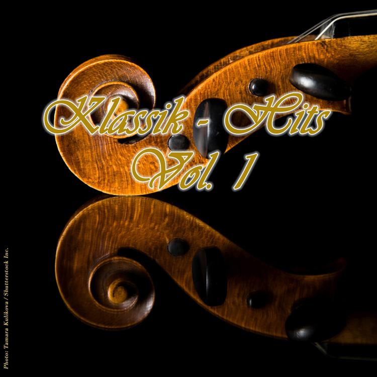 Polish Radio Symphony Orchestra's avatar image