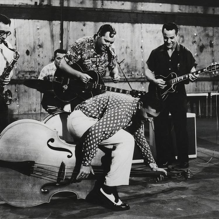 Bill Haley's avatar image