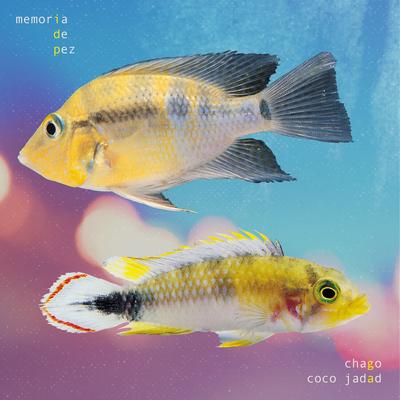 Chago & Coco Jadad's cover