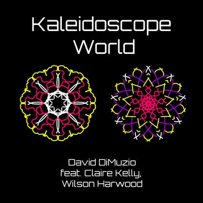 Kaleidoscope World By David DiMuzio, Claire Kelly, Wilson Harwood's cover