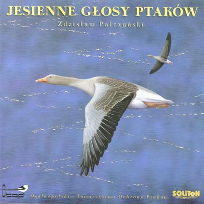 The flock of swifts, Stadko jerzyków By Songs and calls of birds from Poland's cover