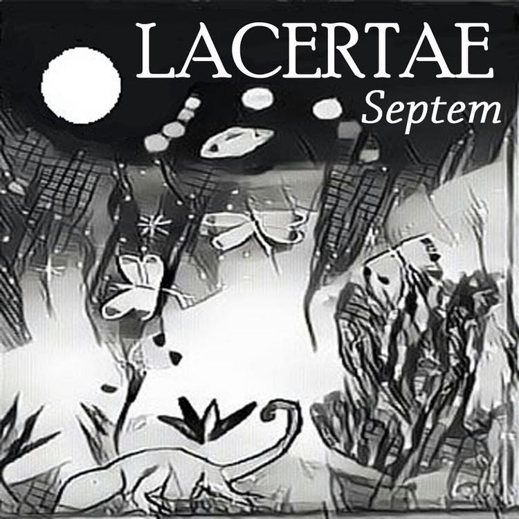 Lacertae's avatar image