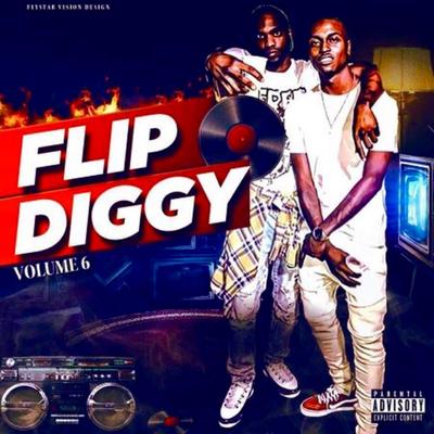 FlipDiggy Volume 6's cover
