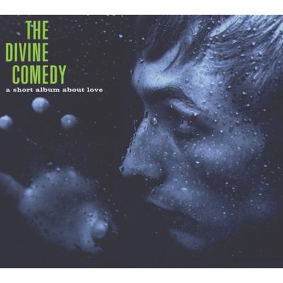 I'm All You Need By The Divine Comedy's cover