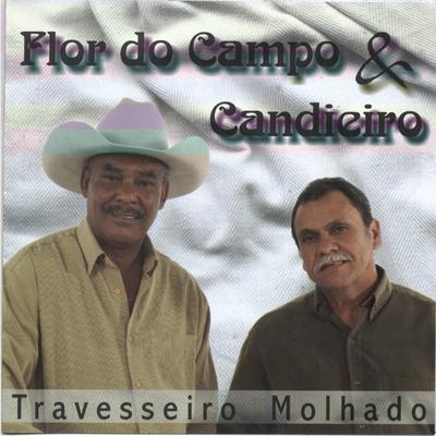 Estrela do Ouro By Flor do Campo & Candieiro's cover