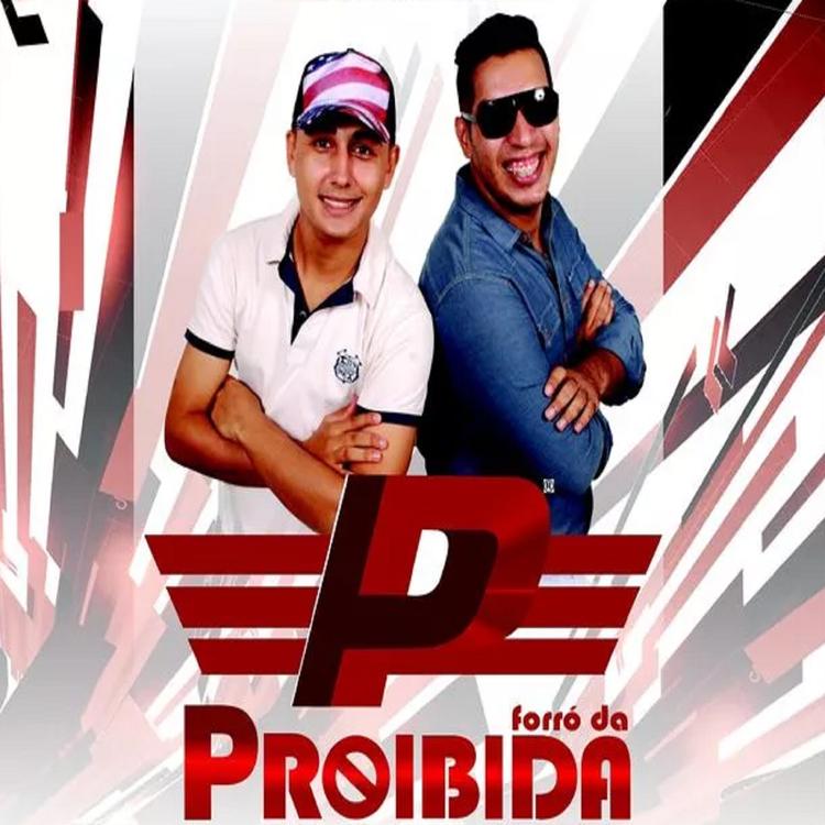 Forró Da Proibida's avatar image