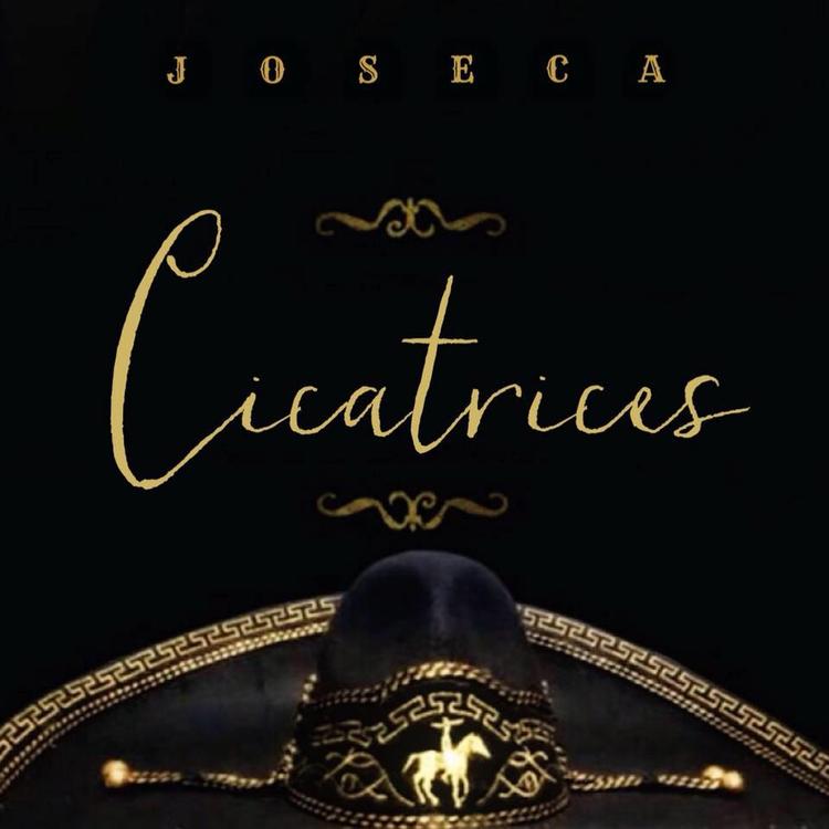 Joseca's avatar image