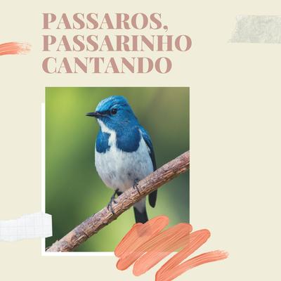 Passarinho Cantando By Passarinho Cantando, Sons de Animais, Musicas Relaxantes 8D's cover