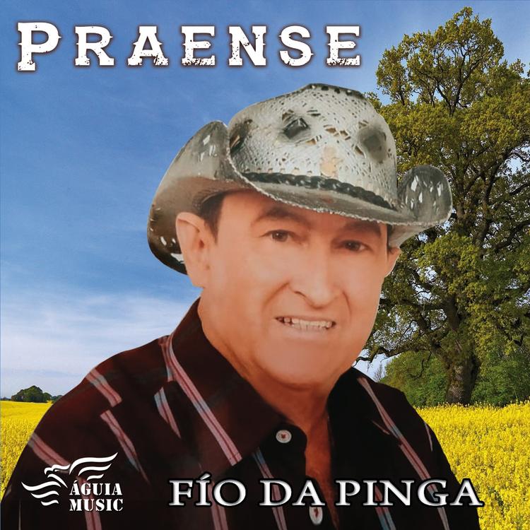 Praense's avatar image