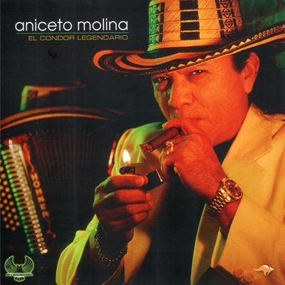 El Diario De Un Borracho By Aniceto Molina's cover