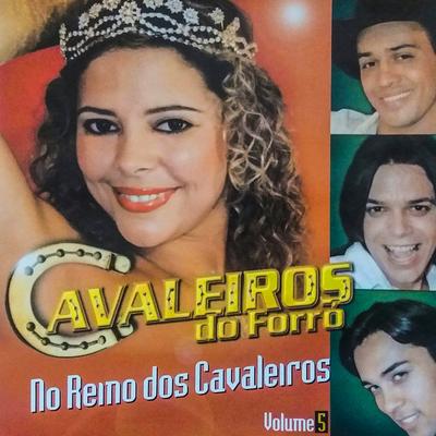 No Reino dos Cavaleiros, Vol. 5's cover