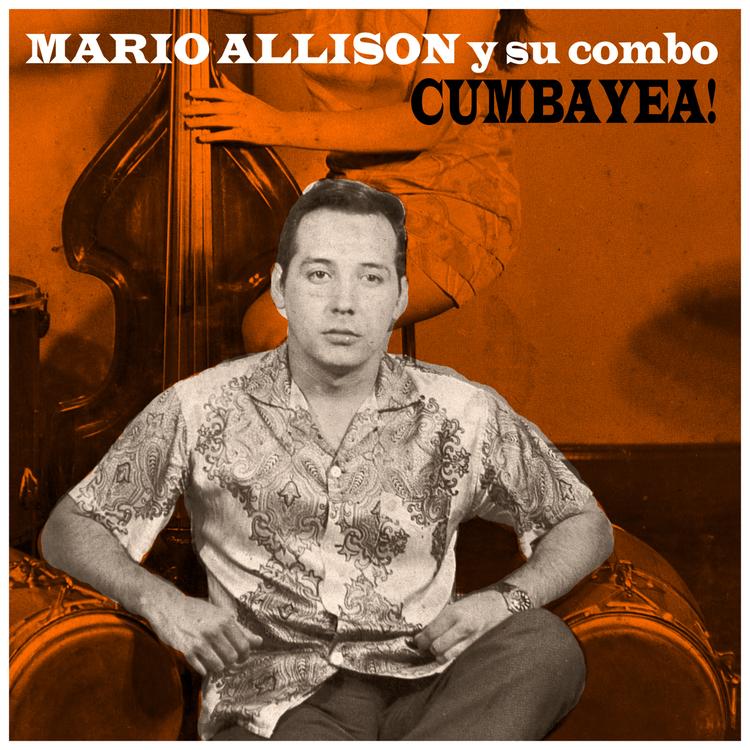 Mario Allison y Su Combo's avatar image