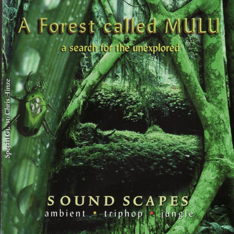 A Forest Called Mulu's avatar image