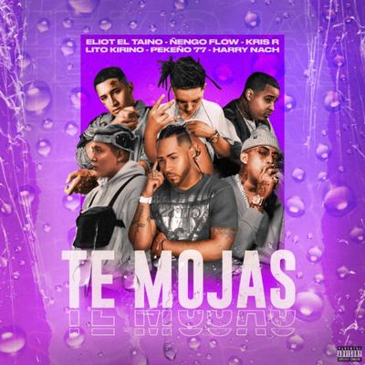 Te Mojas By Eliot El Taino, Ñengo Flow, Kris R., Lito Kirino, Pekeño 77, Harry Nach's cover