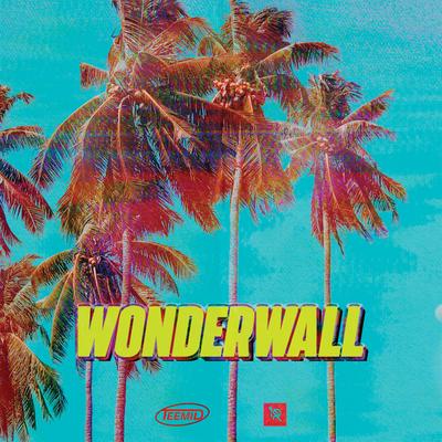 Wonderwall By TEEMID's cover