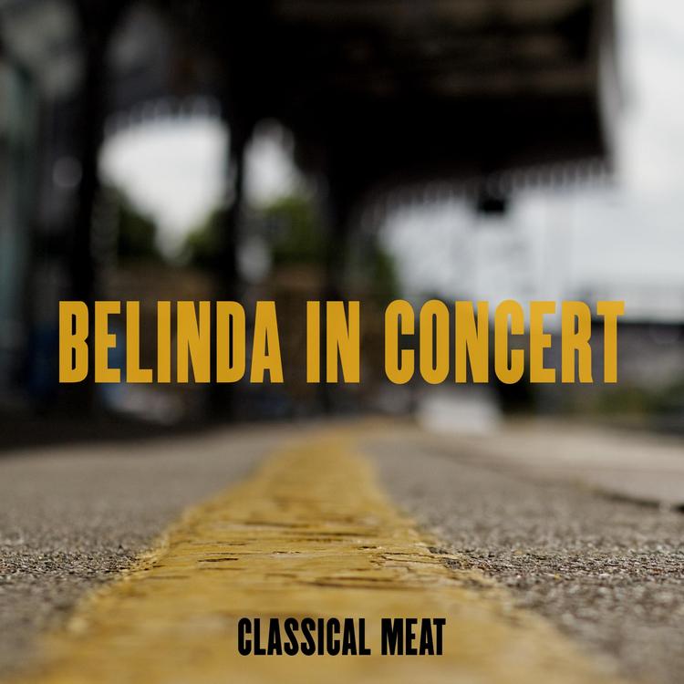 Classical Meat's avatar image