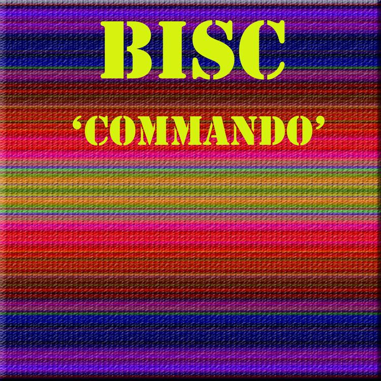 Bisc's avatar image