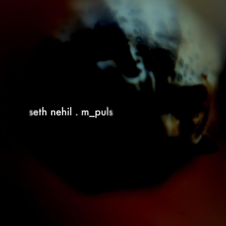 Seth Nehil's avatar image