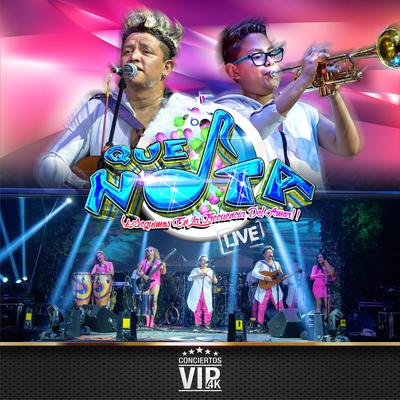 Conciertos Vip 4K: Grupo Que Nota (Live)'s cover
