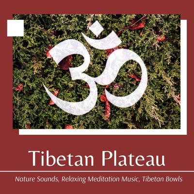 The Laws of Karma By Tibetan Monks, Tibetan Meditation Music's cover