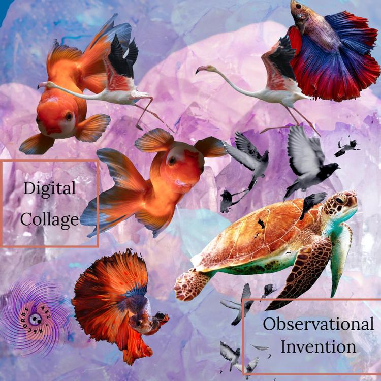 Observational Invention's avatar image