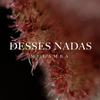 Desses Nadas By Mulamba's cover