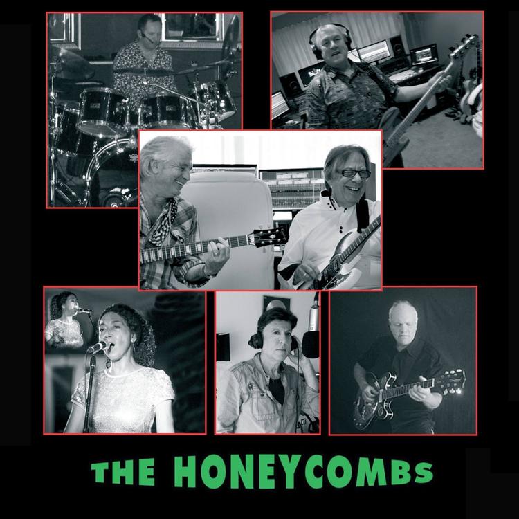 The Honeycombs's avatar image