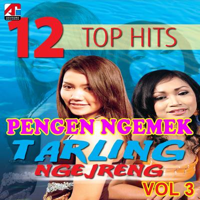 Pengen Ngemek - 12 Lagu Top Hits Tarling Ngejreng, Vol. 3's cover
