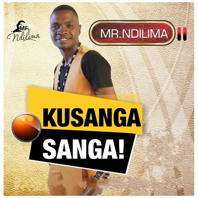 Mr Ndilima's avatar image